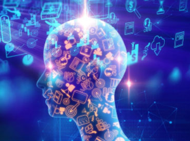 pensamento sistêmico + instituto integrale