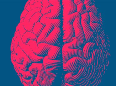 saúde financeira + instituto integrale