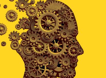 transição de carreira + instituto integrale