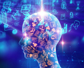 pensamento sistêmico + instituto integrale